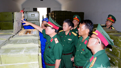 第309師団における陸軍の武器と弾薬の使用状況の点検