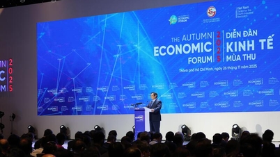 Осінній економічний форум: міст для просування зеленої трансформації в цифрову епоху