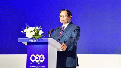 ទីក្រុងហូជីមិញមានគោលបំណងក្លាយជាមហានគរអន្តរជាតិក្នុងយុគសម័យឌីជីថល