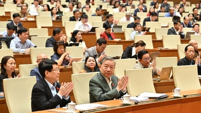 Quốc hội thông qua Luật Dẫn độ, Luật Chuyển giao người đang chấp hành án phạt tù và 2 Luật Tương trợ tư pháp