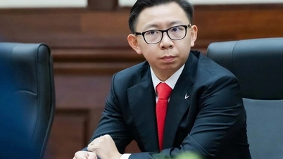 ابن الملياردير فام نهات فونج يصبح المدير العام لشركة فين ميتال للصلب