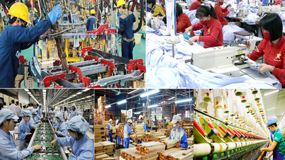 2025 में कठिनाइयों पर विजय पाने, गति बढ़ाने, लक्ष्यों और कार्यों को सफलतापूर्वक पूरा करने के लिए अनुकरण शिखर पर होगा