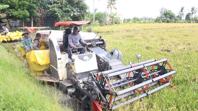 Hiệu quả bước đầu từ mô hình lúa chất lượng cao, phát thải thấp ở xã Vĩnh Lợi