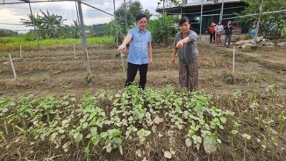 Segera kumpulkan statistik dan dukung pemulihan produksi tanaman pasca banjir.