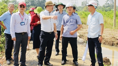 تحویل ۱۰۰٪ زمین در پروژه جاده محور مرکزی بخش تران بین تکمیل شد.