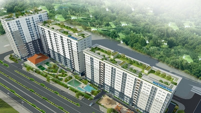 Check and handle 'brokers' who advertise 'diplomatic quotas' to buy and sell social housing