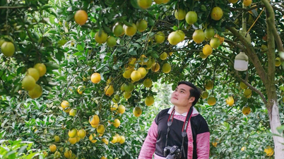 លេខាធិការសហភាពយុវជន និងក្តីស្រមៃរបស់យុវជនចាប់ផ្តើមអាជីវកម្ម និងក្លាយជាអ្នកមាននៅស្រុកកំណើត