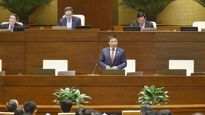 قومی ذخائر سے متعلق قانون (ترمیم شدہ) کو قومی ذخائر اور اسٹریٹجک ذخائر کے درمیان حد کو واضح کرنے کی ضرورت ہے۔