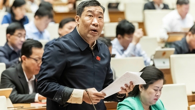 Kebimbangan tentang kekurangan peraturan mengenai rizab strategik untuk barangan keperluan seperti petrol, minyak, ubat dan vaksin