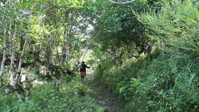 Mengembangkan pariwisata hijau yang terkait dengan pelestarian nilai-nilai budaya