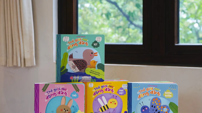 ការរកឃើញដ៏គួរឱ្យភ្ញាក់ផ្អើលសម្រាប់កុមារពី "ពិភពលោកតូចផ្លាស់ទី"