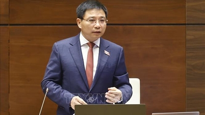 Világosan meg kell határozni a stratégiai tartalékok céljait és alapelveit a nemzeti autonómia biztosítása érdekében.