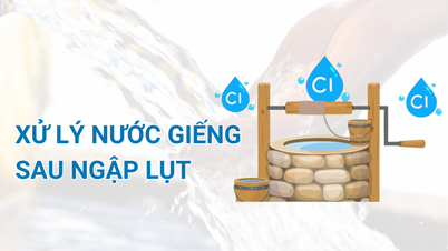 (Infográfico) Tratamento de água de poço após tempestades e inundações