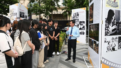 មហោស្រពភាពយន្តវៀតណាមលើកទី ២៤ របស់វិទ្យាស្ថានភាពយន្តវៀតណាម