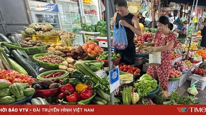 តម្លៃ​បន្លែ​បៃតង​នៅ​ទីក្រុង​ហាណូយ​នៅ​តែ​ឡើង​ខ្ពស់