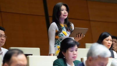 پریس قانون میں ترمیم: سچائی کا تحفظ، قومی معلومات کی خودمختاری کو برقرار رکھنا