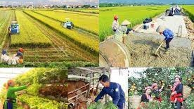 Promoting human rights from sustainable poverty reduction policy in Dong Thap