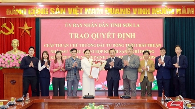 Son La memberikan Keputusan yang meluluskan dasar pelaburan dan meluluskan pelaburan dalam projek kompleks pertanian dan resort ekologi Highland Grands.