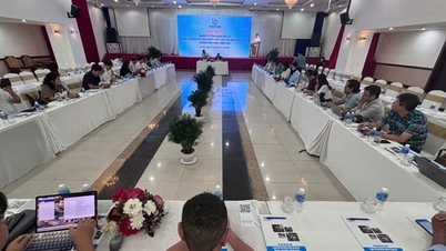 דגש על פיתוח מולטימדיה ועיתונות רב-פלטפורמתית