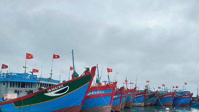 Η Κουάνγκ Νγκάι ανταποκρίνεται επειγόντως στην καταιγίδα Νο. 15