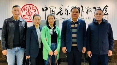 Vietnam entre los 50 países con mayores ingresos por derechos de autor de música a nivel mundial