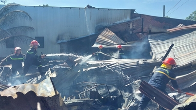 क्वांग टिन में आग ने एक घर और उसकी संपत्ति को नष्ट कर दिया