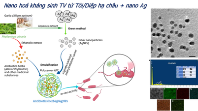 Nano-Antibiotika – ein neuer Weg zu einer sicheren und nachhaltigen Geflügelhaltung