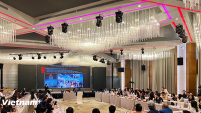 دا نانغ تتشاور بشأن تنفيذ مشروع تطوير الصناعات الثقافية بحلول عام 2030