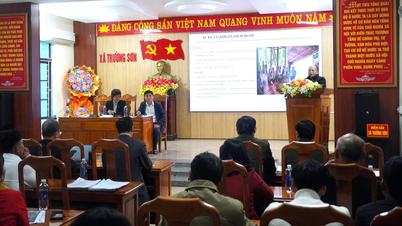 مشاوره در مورد راهکارهای معیشت پایدار و مدیریت جنگل‌های محلی در ترونگ سان