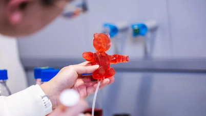 Essbare Roboter – ein Wendepunkt in der Medizin- und Biotechnologie