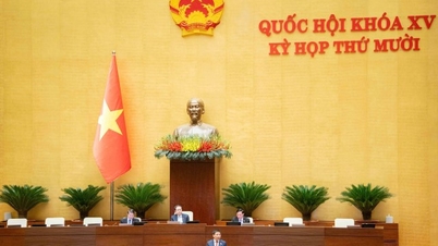 राष्ट्रीय भंडार के क्षेत्र में डिजिटल परिवर्तन और समाजीकरण को बढ़ावा देना