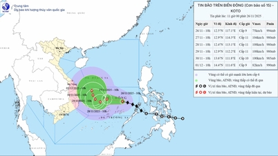ព្យុះ​លេខ​១៥​ផ្លាស់ប្តូរ​ទិស​កាន់តែខ្លាំង ហើយ​មាន​៣​សេណារីយ៉ូ​អាច​កើតឡើង​