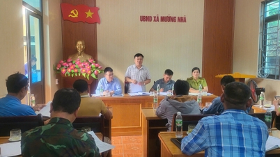 Muong Nha រឹតបន្តឹងការគ្រប់គ្រង និងការពារព្រៃឈើយ៉ាងសកម្ម