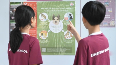 ការអនុវត្តកម្មវិធីអប់រំសុខុមាលភាពសត្វនៅក្នុងសាលារៀន