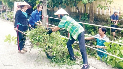 Each female member is a "green ambassador"