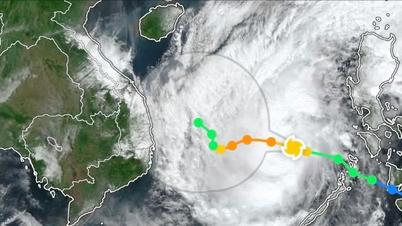 יש לכמת תחזיות של רוח וגלים ולספק מידע בזמן אמת לגבי סופה מספר 15.