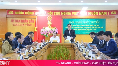 Ha Tinh își propune ca creșterea PIB-ului în agricultură, silvicultură și pescuit în 2026 să atingă peste 3%