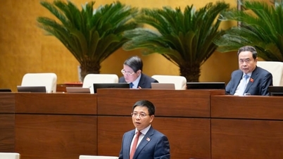 국가비축물품 수출입 결정 권한의 분권화 및 위임을 촉진합니다.