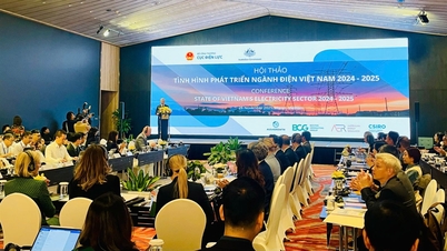 ទីផ្សារអគ្គិសនីដែលប្រកួតប្រជែងបានបន្តដើរតួនាទីយ៉ាងសំខាន់ក្នុងការអភិវឌ្ឍន៍ឧស្សាហកម្មអគ្គិសនី។