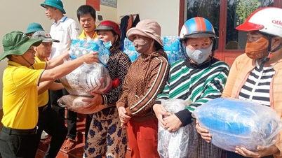 Many universities and colleges in Ho Chi Minh City support students in disaster areas.