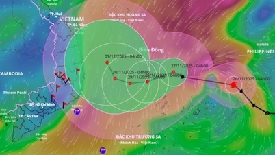 পূর্ব সাগরে ঝড়ের প্রতিক্রিয়া সম্পর্কে শিল্প ও বাণিজ্য মন্ত্রণালয়ের টেলিগ্রাম