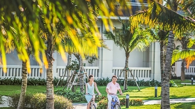 การเดินทางดานัง: คำแนะนำในการเลือกแพ็คเกจแบบยืดหยุ่นและประหยัด