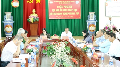 Seminar on law enforcement to support small and medium enterprises in Dong Nai