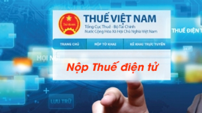 Ho Chi Minh City: Isi rumah perniagaan dan individu akan mengisytiharkan dan membayar cukai secara elektronik mulai 2026