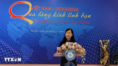 ศิลปะการถ่ายภาพเชื่อมโยงมิตรภาพเวียดนาม-อินโดนีเซีย