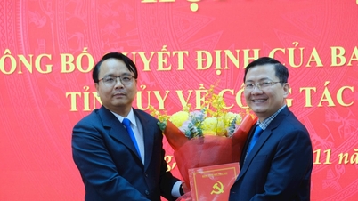 O camarada Phan The Hanh foi nomeado vice-chefe do Comitê de Assuntos Internos do Comitê Provincial do Partido de Lam Dong.