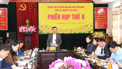 جدت طرازی اور صوبائی عوامی کونسل کی سرگرمیوں کے معیار کو بہتر بنانا