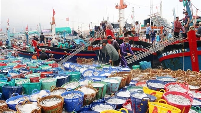 ماہی گیری کی صنعت ماحول کے تحفظ کے لیے ٹیکنالوجی اور انتظام کو اختراع کرتی ہے۔