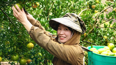 Люди Бо Y занимаются сельскохозяйственным туризмом