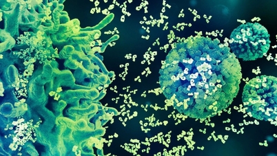 מניעה יזומה של HPV מהיום